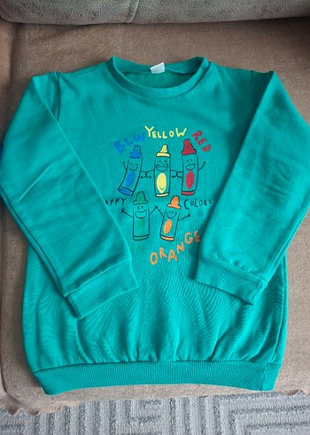 Erkek Çocuk Nakışlı Renkli Sweatshirt - Görsel 3