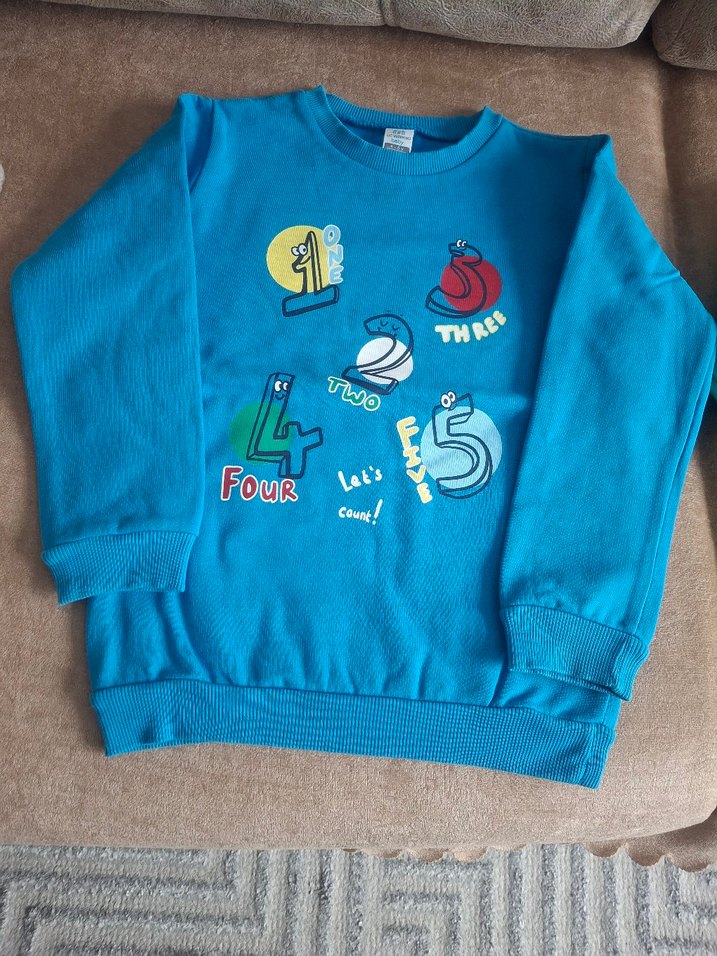 Erkek Çocuk Nakışlı Renkli Sweatshirt - Görsel 2