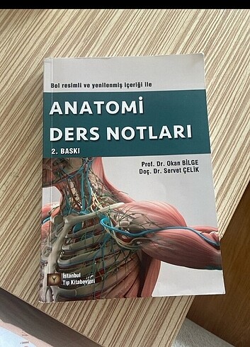 Anatomi ders notları 