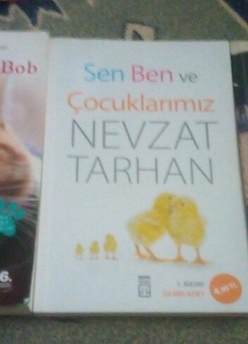 Peri Gazozu, Sokak Kedisi Bob, Sen Ben ve Çocuklarımız