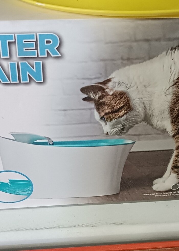 KEDİ SU PINARI  - Görsel 2