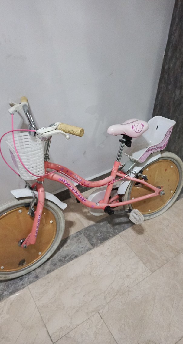 Pembe Çocuk iki Tekerlekli Bisiklet salcano - Görsel 2