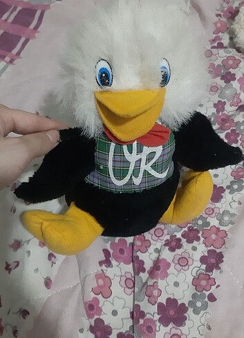 Pelus