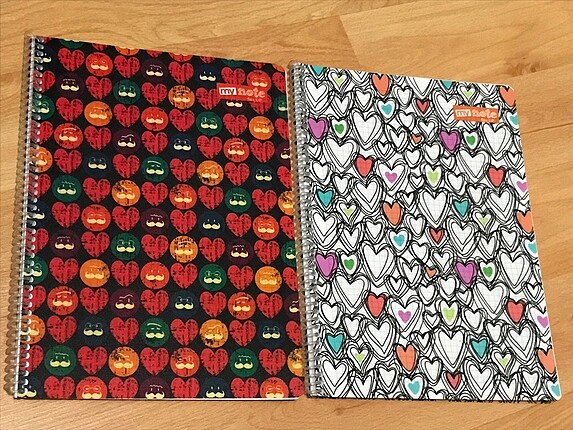 2 tane kareli defter