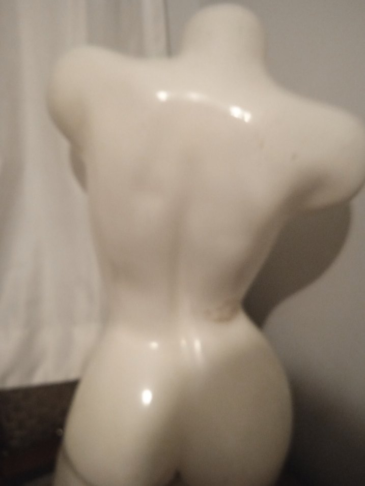 Beyaz Kadın Gövde Figürü - Görsel 2