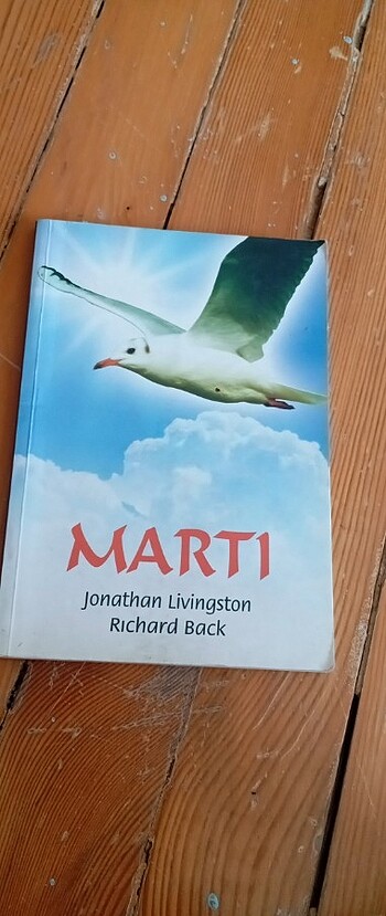 Martı