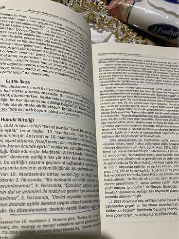 Anayasa hukuku ders notları genel esaslar türk anayasa hukuku - Görsel 3