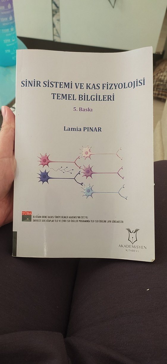Fizyoterapi ve Rehabilitasyon Kitap Seti - Görsel 4