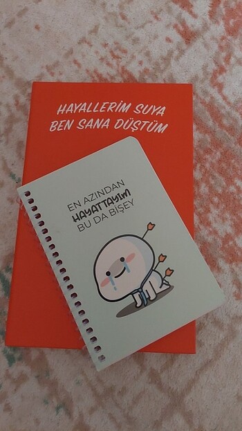 Diğer Mayo ve not defteri