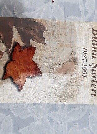 Rıfat Ilgaz bütün şiirler