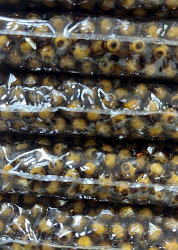 Küp içi pamuk Boncukları - Görsel 8