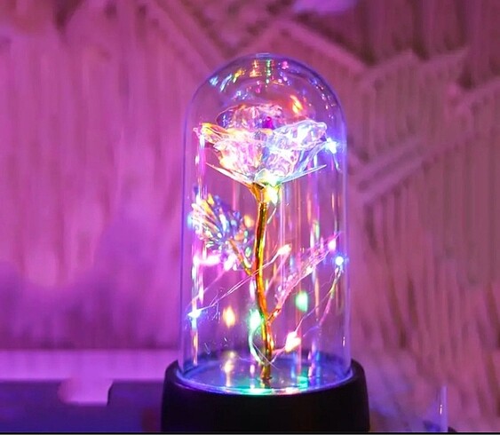 Led ışıklı Gül