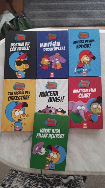 Yepyeni Kral Şakir Kitapları Açıklamayı okuyunuz.