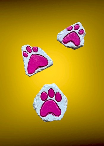 3lü Pembe Panter patisi magnet