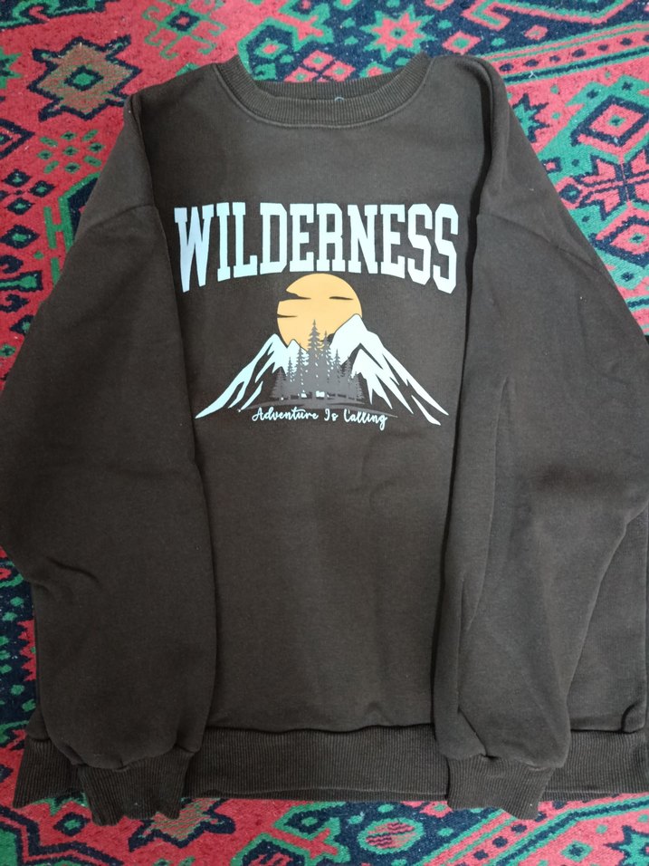 Kahverengi Baskılı Kadın Sweatshirt - Görsel 2