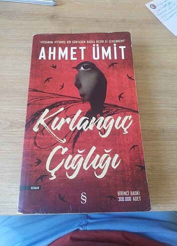 Kırlangıç çığlığı aşkımız eski bir roman 