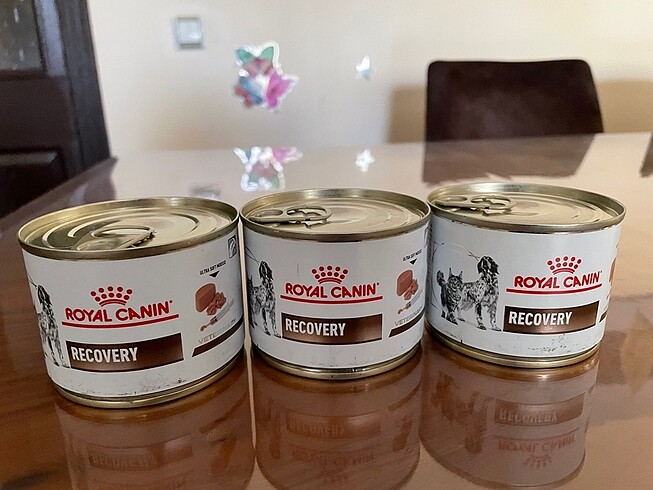 Royal canin recovery mama (3 kutu)