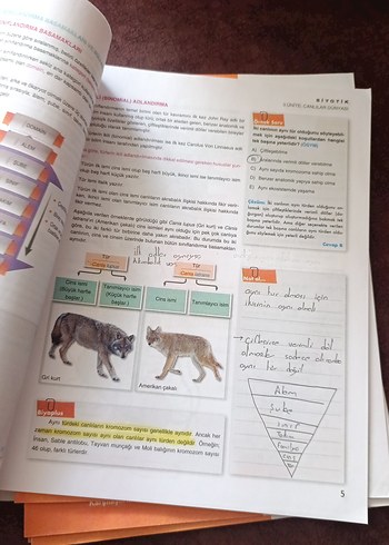 TYT Biyoloji Konu Anlatım Föyleri - Görsel 3