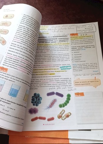 TYT Biyoloji Konu Anlatım Föyleri - Görsel 4