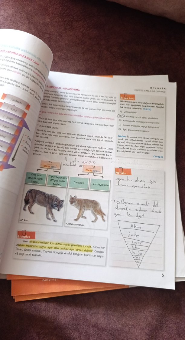 TYT Biyoloji Konu Anlatım Föyleri - Görsel 3