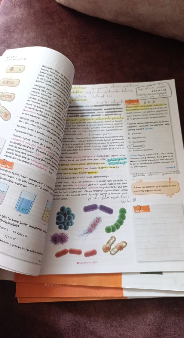 TYT Biyoloji Konu Anlatım Föyleri - Görsel 4