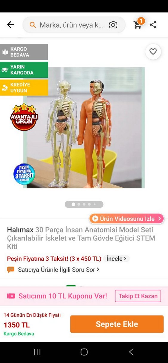 İnsan Anatomisi Model Bebek - Görsel 2