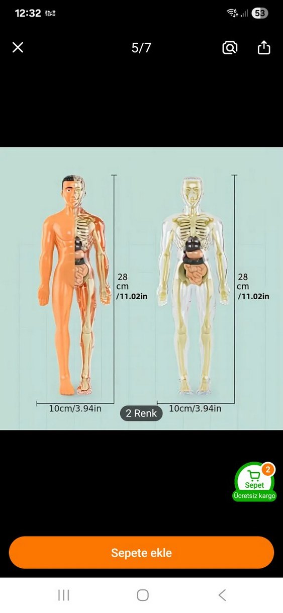 İnsan Anatomisi Aksiyon Figürü - Görsel 2