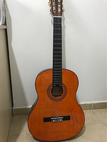 Diğer Gitar