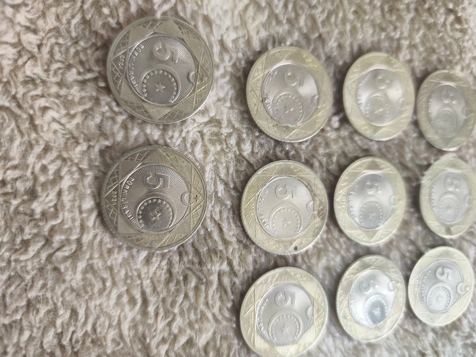 koleksiyonlik 100.yil parasi 10 adet - Görsel 5