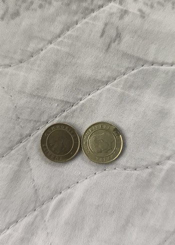 Gri Erkek Rozet - Görsel 3