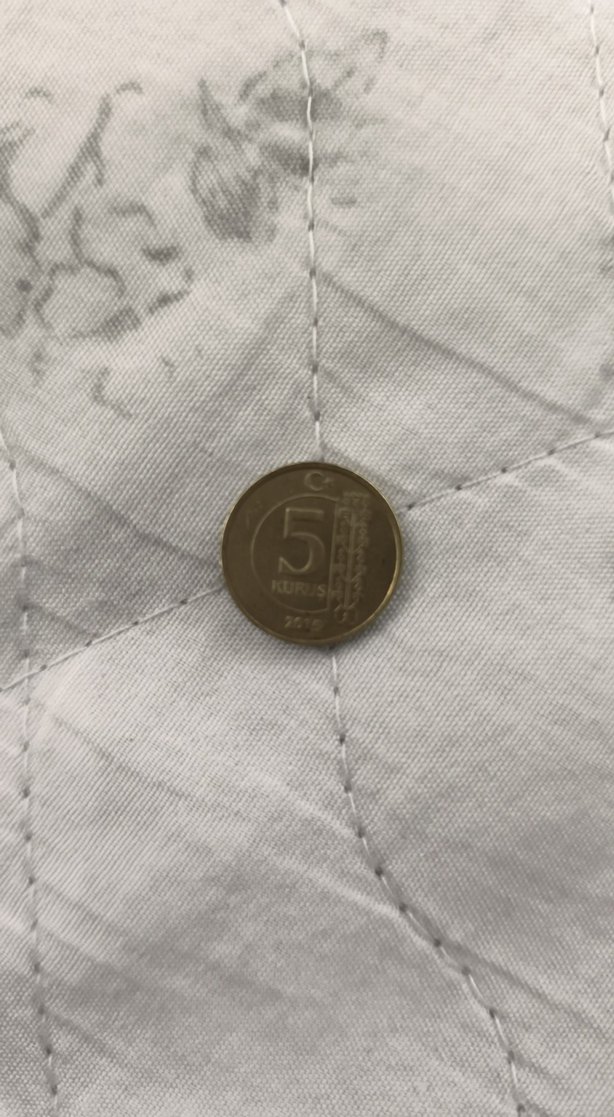 Gri Erkek Rozet - Görsel 5