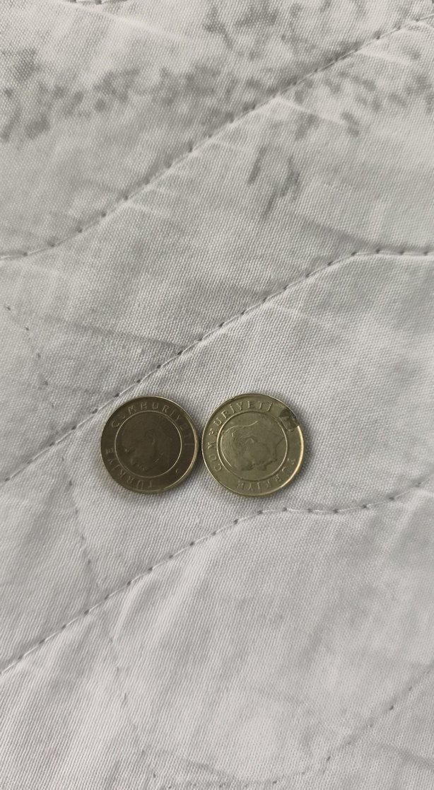 Gri Erkek Rozet - Görsel 3