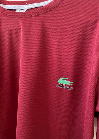 Lacoste lacoste t-shirt