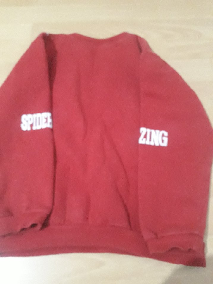 Erkek Çocuk Spiderman Baskılı Kırmızı Sweatshirt - Görsel 5