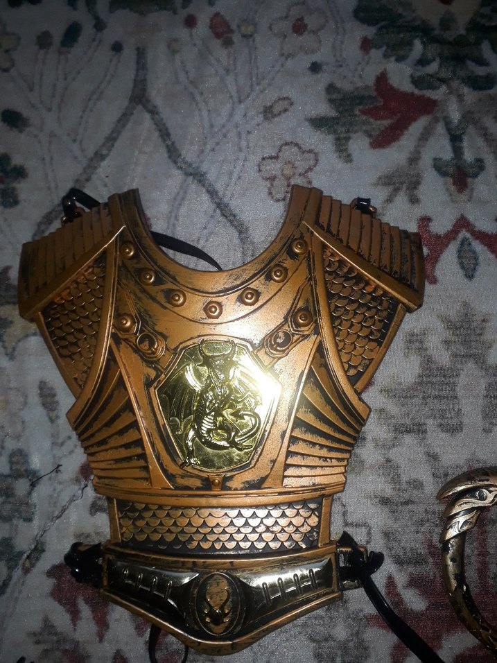 Altın Renkli Desenli Deri Çocuk Zırh Seti - Görsel 2