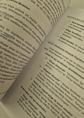 Endüstri ilişkileri ve yeni gelişmeler - Görsel 3