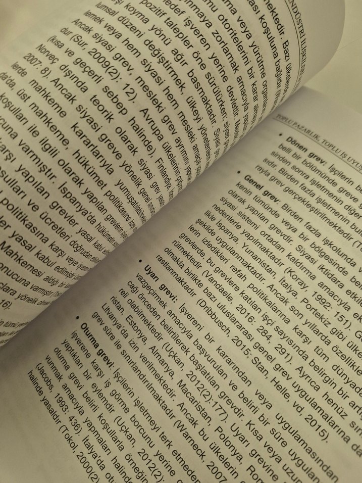 Endüstri ilişkileri ve yeni gelişmeler - Görsel 2