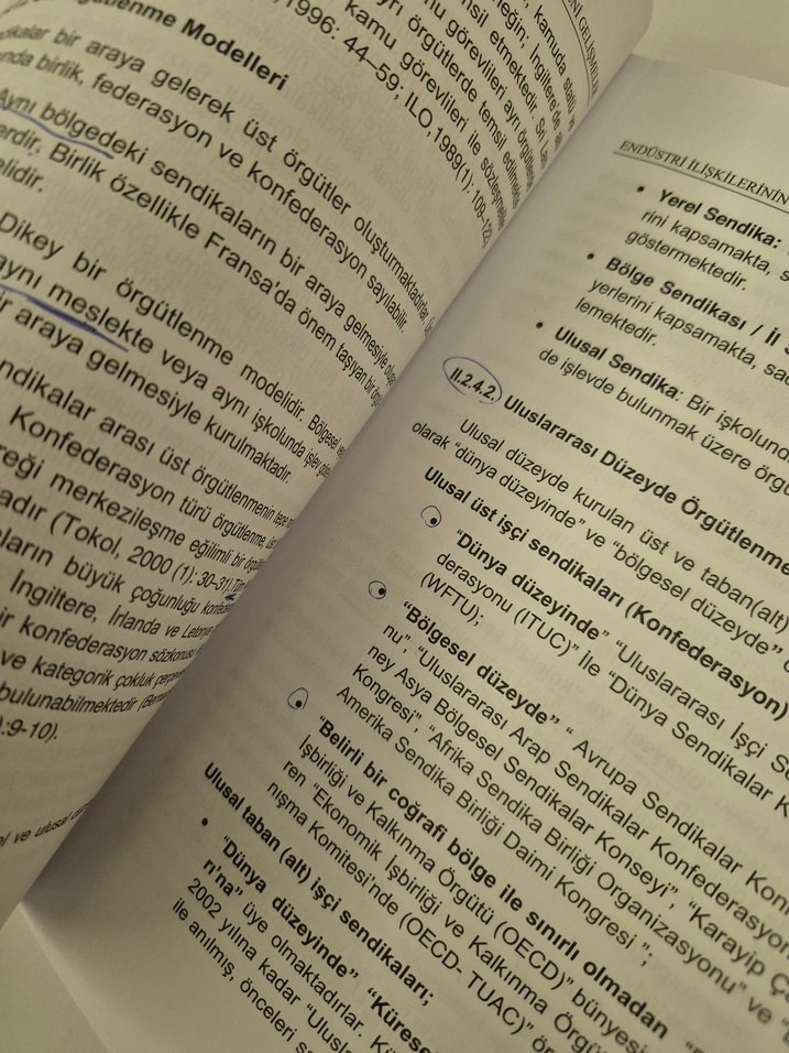 Endüstri ilişkileri ve yeni gelişmeler - Görsel 3