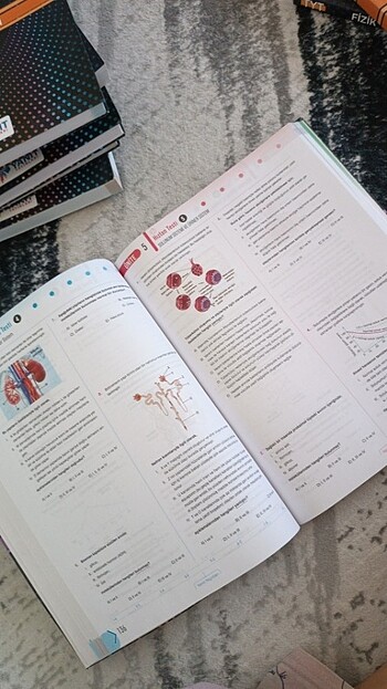  Beden Renk YANIT YAYINLARI AYT BİYOLOJİ SORU BANKASI