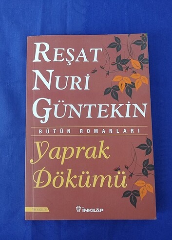 YAPRAK DÖKÜMÜ 