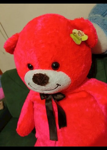 Büyük ayıcık - Görsel 2