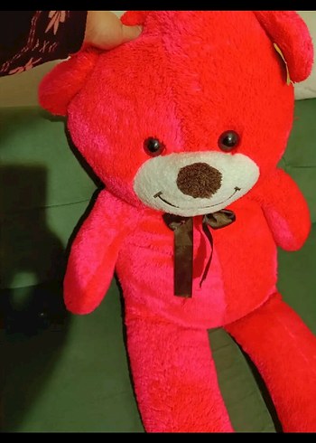 Büyük ayıcık - Görsel 3