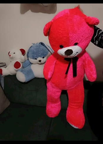 Büyük ayıcık - Görsel 4