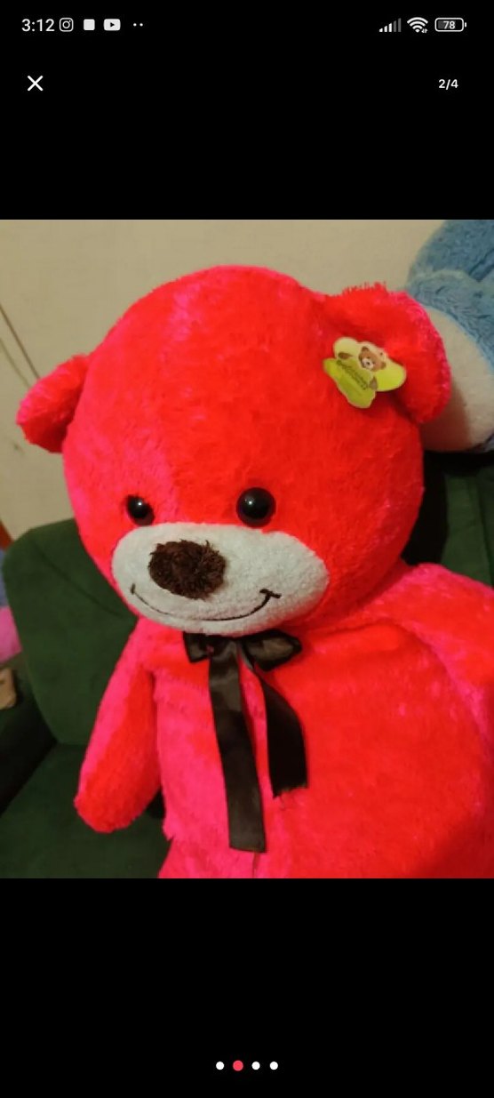 Büyük ayıcık - Görsel 2