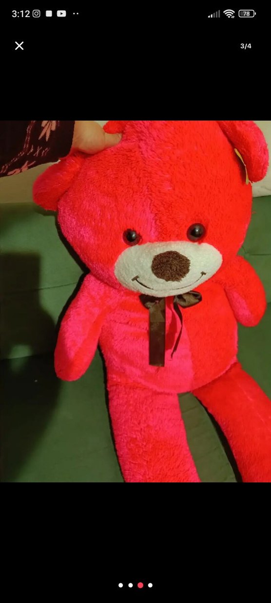 Büyük ayıcık - Görsel 3