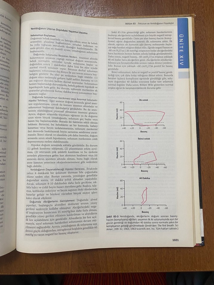 Guyton ve Hall Tıbbi Fizyoloji Kitabı - Görsel 3