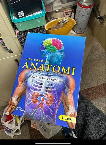Beden Her Yönüyle anatomi