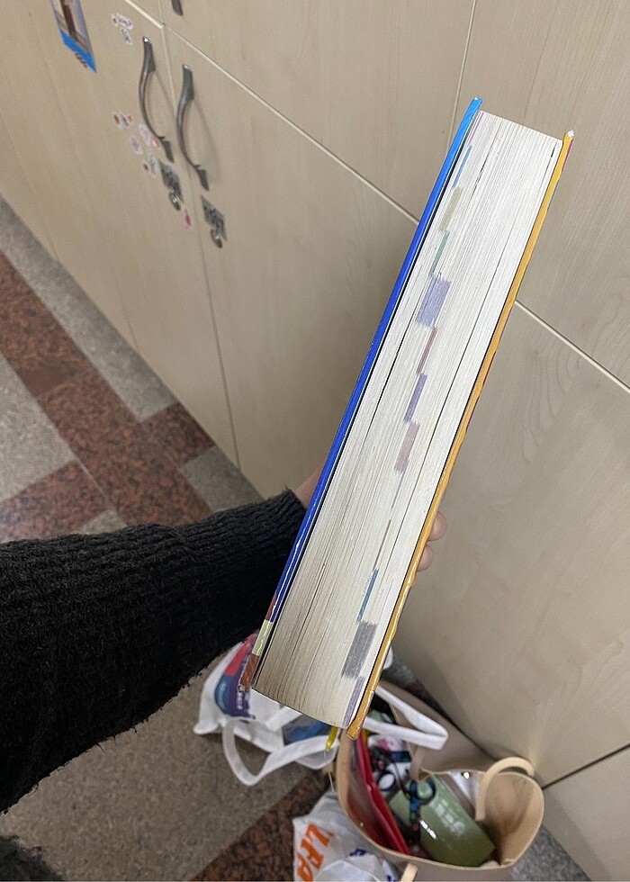 Her Yönüyle anatomi - Görsel 2