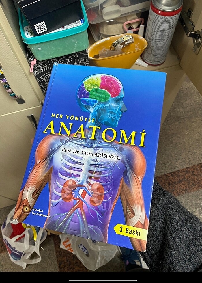Her Yönüyle anatomi - Görsel 3