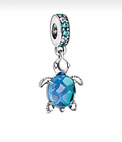 Pandora Pandora charm